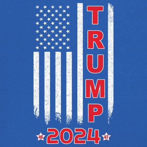 Donald Trump American Flag 2024 45 47 Sweatshirt America First MAGA Hoodie - Picture 46 of 57