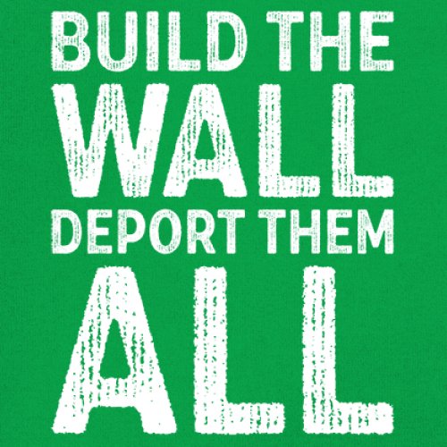 Build the Wall Deport Them All Trump 2024 Sweatshirt Immigration MAGA Crewneck