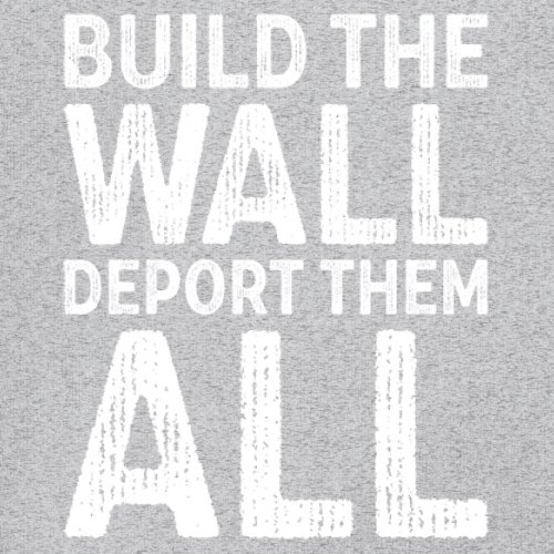 Build the Wall Deport Them All Trump 2024 Sweatshirt Immigration MAGA Crewneck