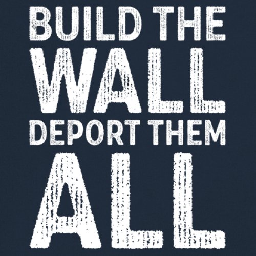 Build the Wall Deport Them All Trump 2024 Sweatshirt Immigration MAGA Crewneck