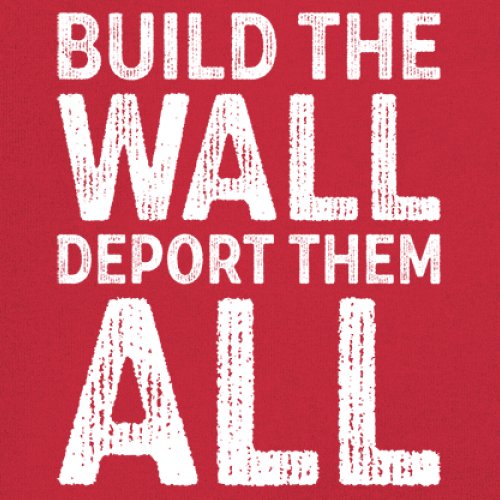 Build the Wall Deport Them All Trump 2024 Sweatshirt Immigration MAGA Crewneck