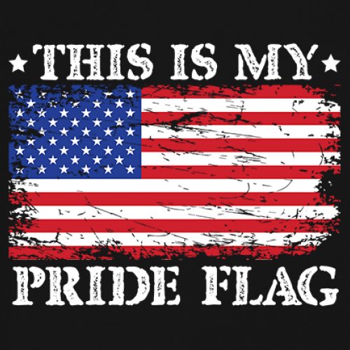 Sudadera This is My Pride Flag Bandera Americana 4 de Julio USA Patriot Hoodie - Imagen 4 de 29