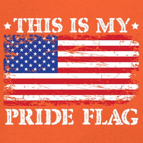Sudadera This is My Pride Flag Bandera Americana 4 de Julio USA Patriot Hoodie - Imagen 11 de 29