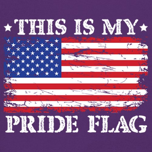 Sudadera This is My Pride Flag Bandera Americana 4 de Julio USA Patriot Hoodie - Imagen 18 de 29