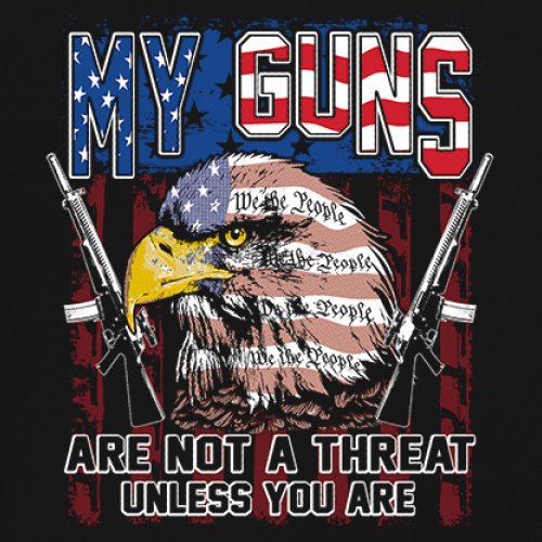 My Guns Are Not Threat Sweatshirt 2nd Amendment Patriotic Gun Rights Crewneck - Picture 4 of 15