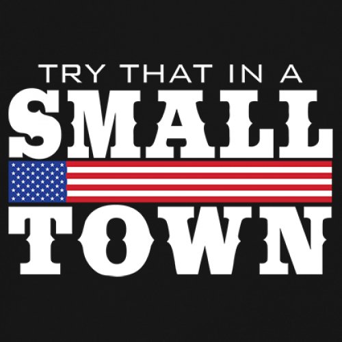 Try That In A Small Town Sweatshirt Patriotic Country Song Republican Crewneck - Picture 4 of 29