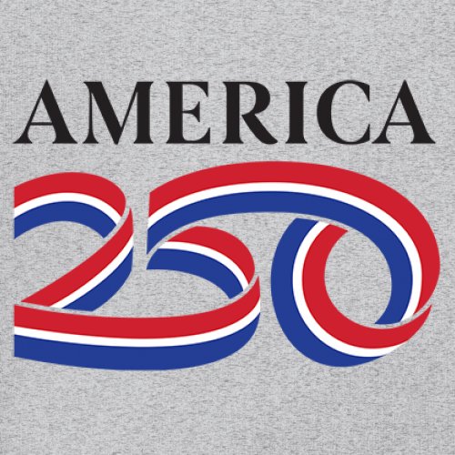 Official USA 250 T-shirt American Patriotic July 4 Independence Men's Tee - Picture 18 of 113