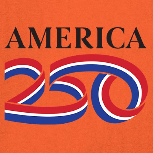 Official USA 250 T-shirt American Patriotic July 4 Independence Men's Tee - Picture 25 of 113