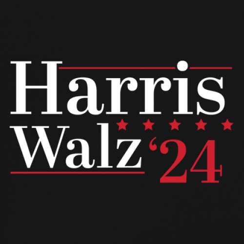 Kamala Harris Tim Walz 24 Youth T-shirt Madam President I'm Speaking 2024 Kids - Picture 4 of 15
