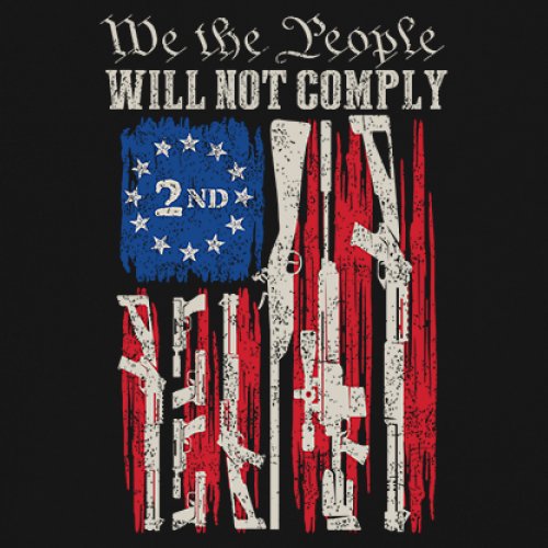 We People Will Not Comply Sweatshirt 2nd Amendment USA Flag Gun Rights Crewneck - Picture 4 of 29