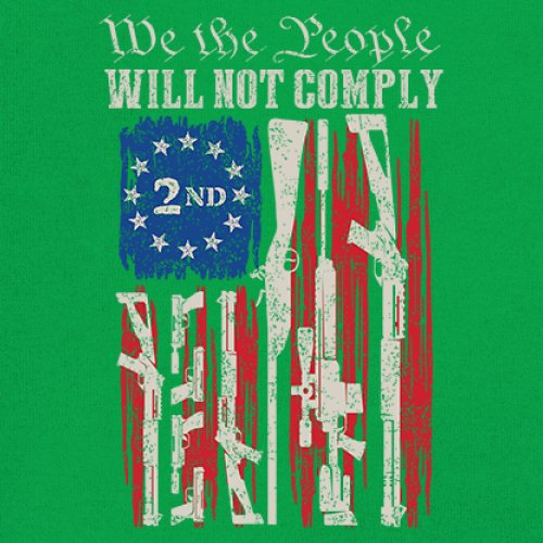 We People Will Not Comply Sweatshirt 2nd Amendment USA Flag Gun Rights Crewneck - Picture 25 of 29