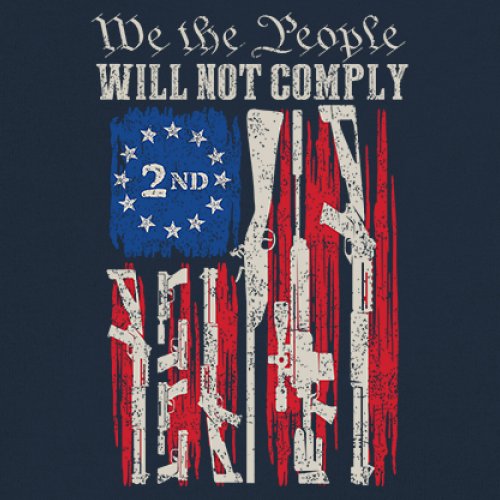 We People Will Not Comply Sweatshirt 2nd Amendment USA Flag Gun Rights Crewneck - Picture 18 of 29