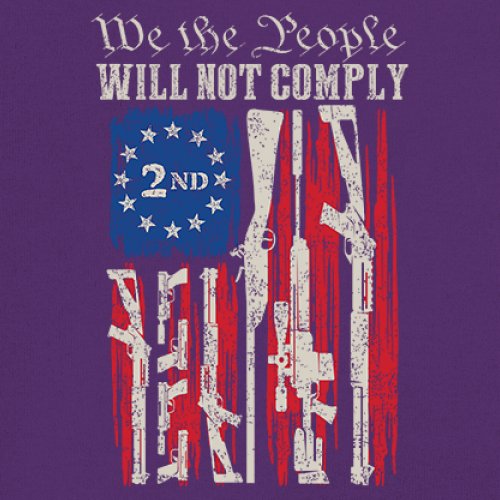 We People Will Not Comply Sweatshirt 2nd Amendment USA Flag Gun Rights Hoodie - Picture 18 of 22
