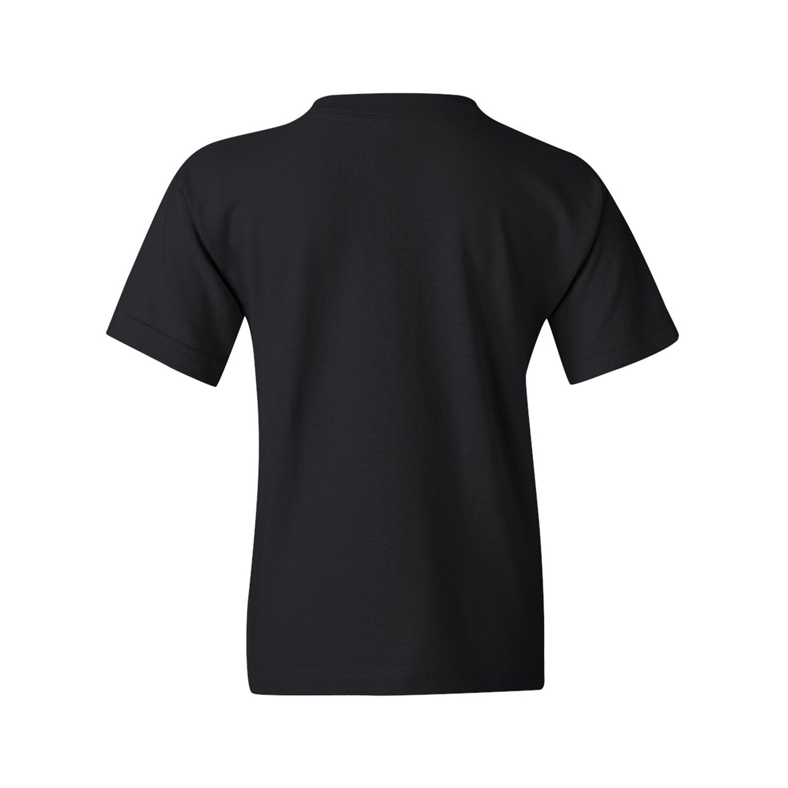 Black Pride Youth T-shirt Black Culture Equality BLM African Lion Kids - Picture 4 of 13