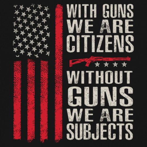 Gun Citizens Sweatshirt 2nd Amendment Patriotic Pro Gun USA Flag DD214 Hoodie - Picture 4 of 29