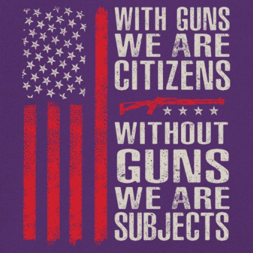 Gun Citizens Sweatshirt 2nd Amendment Patriotic Pro Gun USA Flag DD214 Hoodie - Picture 18 of 29