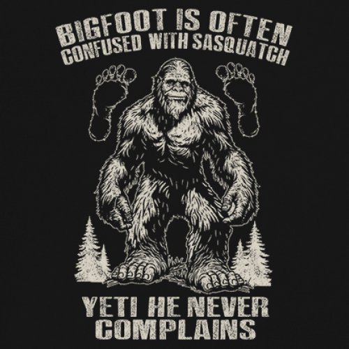 Bigfoot Is Often Confused With Sasquatch Youth T-shirt Yeti Hike Camping Kids - Picture 4 of 22