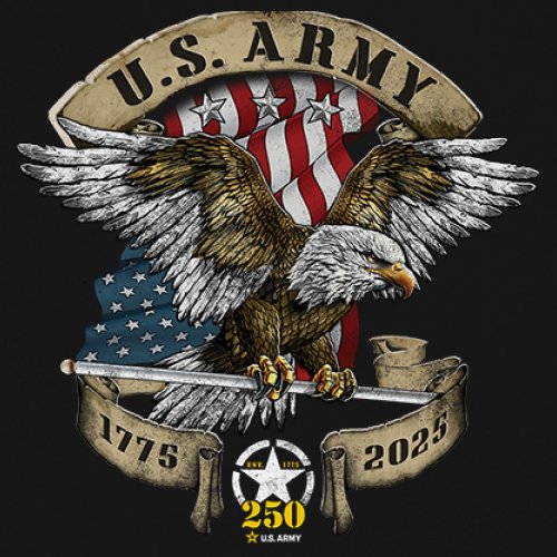 US Army Eagle Youth T-shirt 250 Anniversary American Veteran DD 214 Kids - Picture 4 of 43