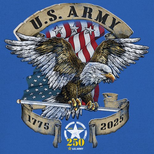 US Army Eagle Youth T-shirt 250 Anniversary American Veteran DD 214 Kids - Picture 32 of 43