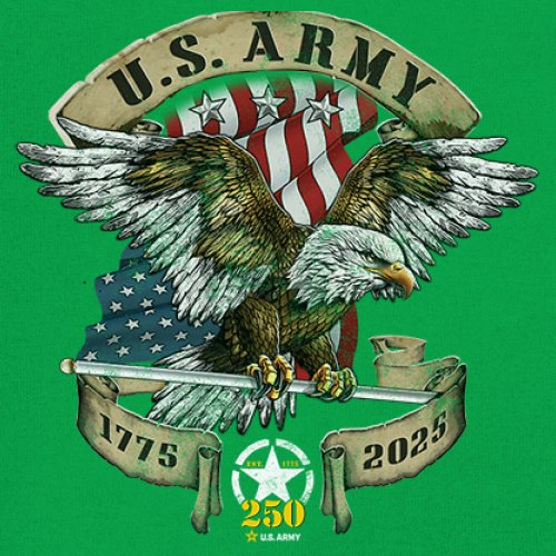 US Army Eagle Youth T-shirt 250 Anniversary American Veteran DD 214 Kids - Picture 25 of 43