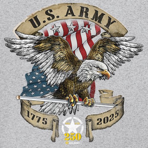 US Army Eagle Youth T-shirt 250 Anniversary American Veteran DD 214 Kids - Picture 11 of 43