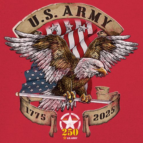 US Army Eagle Youth T-shirt 250 Anniversary American Veteran DD 214 Kids - Picture 18 of 43