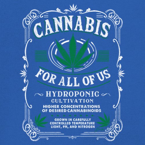 Cannabis For All Women's V-Neck T-shirt 420 Weed Pot Smoking Marijuana Tee - Picture 39 of 57
