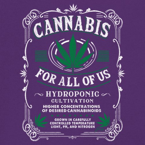 Cannabis For All Women's V-Neck T-shirt 420 Weed Pot Smoking Marijuana Tee - Picture 18 of 57