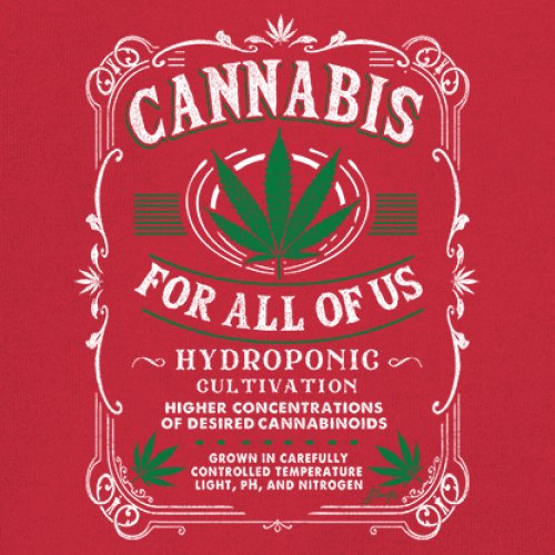 Cannabis For All Women's V-Neck T-shirt 420 Weed Pot Smoking Marijuana Tee - Picture 25 of 57