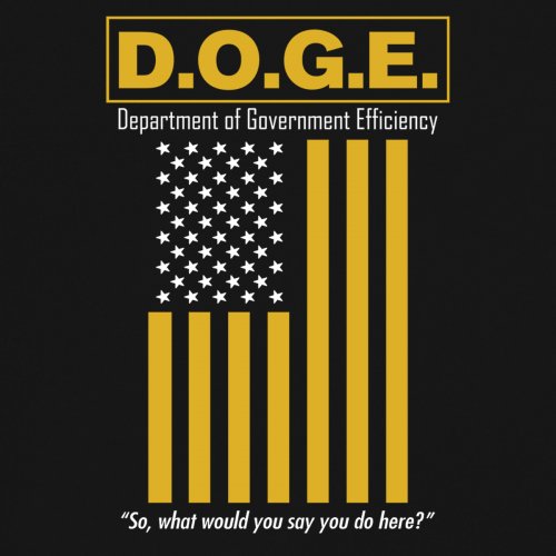 ALTRA T shirt scollo a V metallico bandiera USA DOGE DIPARTIMENTO EFFICIENZA GOVERNATIVA MAGLIETTA