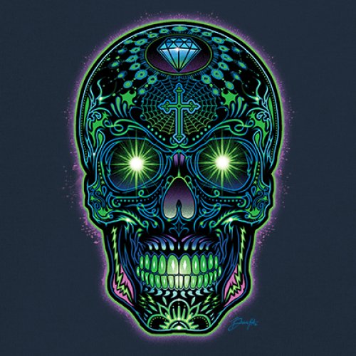 Bright Sugar Skull Long Sleeve T-shirt Dia de Los Muertos Neon Day of the Dead - Picture 39 of 78