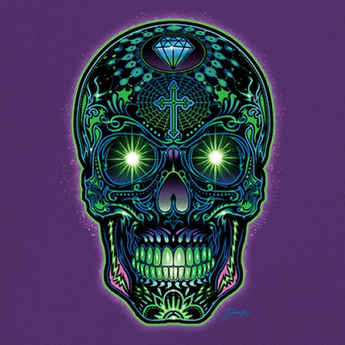 Bright Sugar Skull Long Sleeve T-shirt Dia de Los Muertos Neon Day of the Dead - Picture 18 of 78