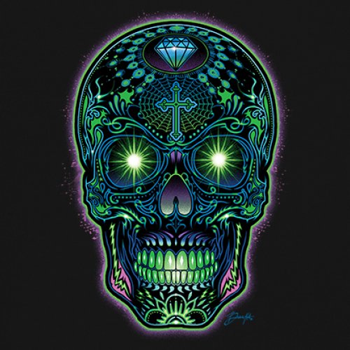 Bright Sugar Skull Youth T-shirt Dia de Los Muertos Neon Day of the Dead Kids - Picture 4 of 50