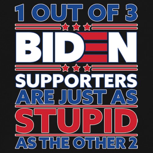 1 Out of 3 Biden Supporters Long Sleeve T-shirt Funny Political Anti Sleepy Joe - Picture 4 of 78
