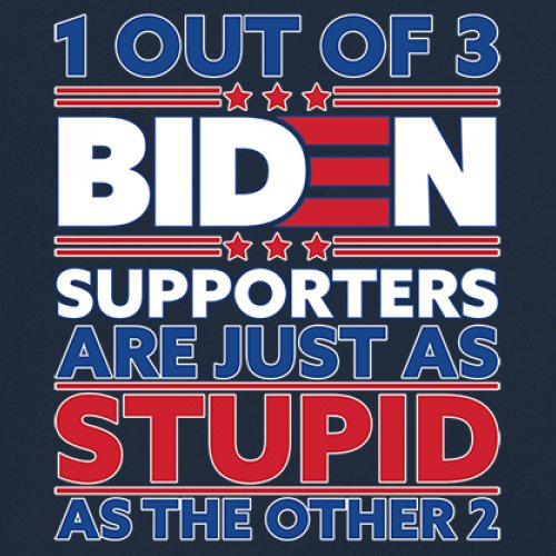 1 Out of 3 Biden Supporters Long Sleeve T-shirt Funny Political Anti Sleepy Joe - Picture 39 of 78