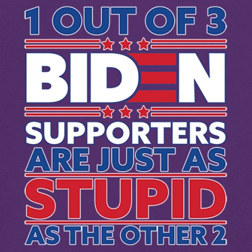 1 Out of 3 Biden Supporters Long Sleeve T-shirt Funny Political Anti Sleepy Joe - Picture 18 of 78