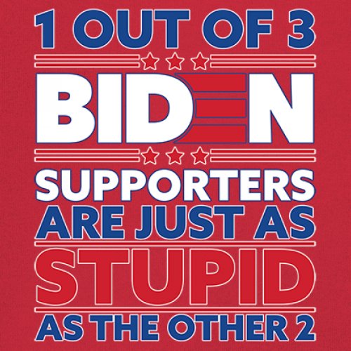 1 Out of 3 Biden Supporters Long Sleeve T-shirt Funny Political Anti Sleepy Joe - Picture 25 of 78