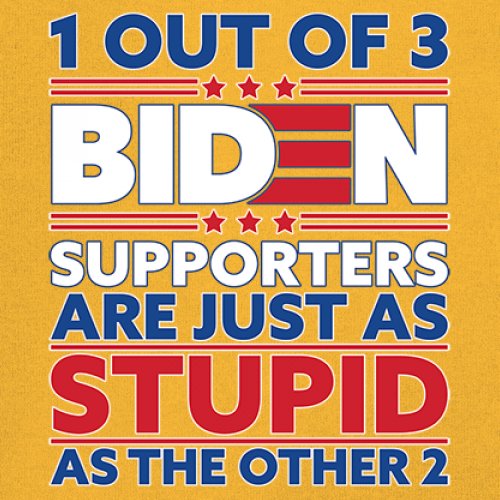 1 Out of 3 Biden Supporters Long Sleeve T-shirt Funny Political Anti Sleepy Joe - Picture 67 of 78