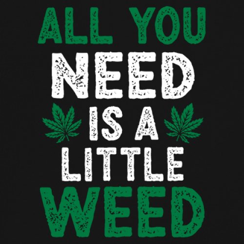 All You Need is a Little Weed T-Shirt Funny Smoking Marijuana 420 Women's Tee - Picture 4 of 36