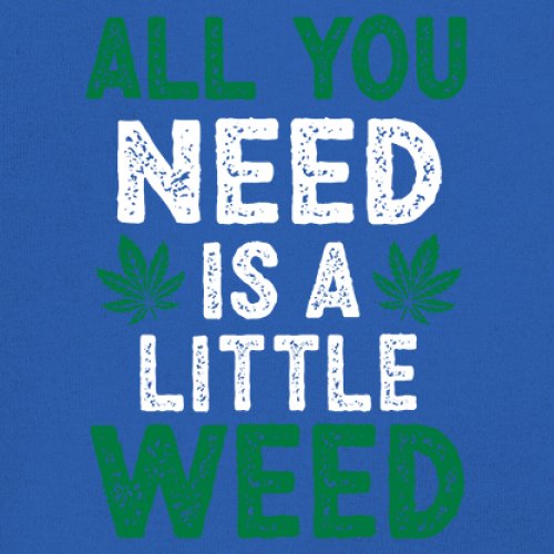 All You Need is a Little Weed T-Shirt Funny Smoking Marijuana 420 Women's Tee - Picture 18 of 36
