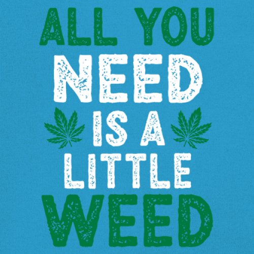 All You Need is a Little Weed T-Shirt Funny Smoking Marijuana 420 Women's Tee - Picture 25 of 36