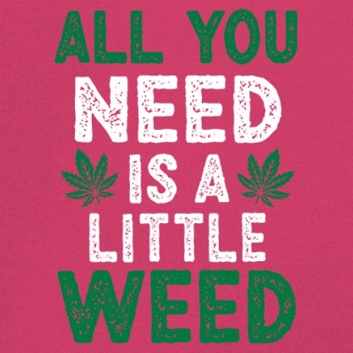 All You Need is a Little Weed T-Shirt Funny Smoking Marijuana 420 Women's Tee - Picture 32 of 36
