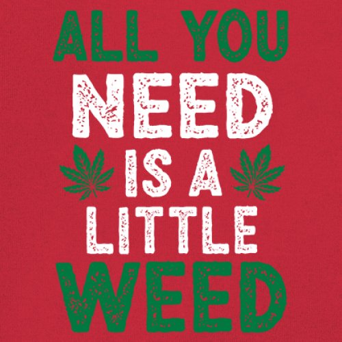 All You Need is a Little Weed T-Shirt Funny Smoking Marijuana 420 Women's Tee - Picture 11 of 36