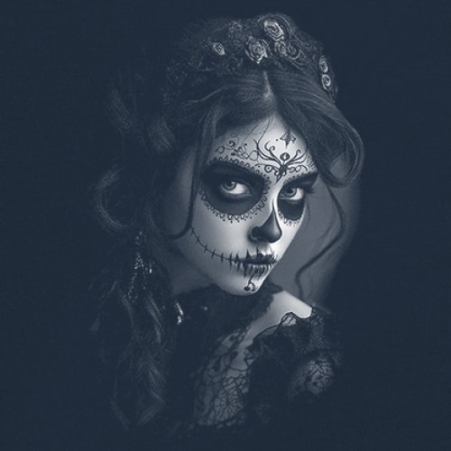Sugar Skull Lace Sweatshirt Black White Day of the Dead Gothic Beauty Crewneck - Picture 11 of 15