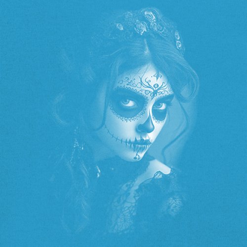 Sugar Skull Lace T-Shirt Black White Day of the Dead Gothic Beauty Women's Tee - Picture 11 of 15