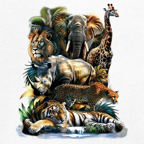 Exotic Collage Long Sleeve T-shirt Jungle Safari Animal Wild Nature Lion Tiger - 第 32/78 張圖片