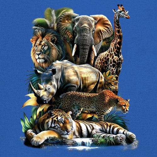 Imagen 39 de 50