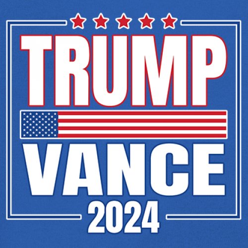Trump Vance 2024 American Flag Youth T-shirt 47 President MAGA Republican Kids - Picture 39 of 50