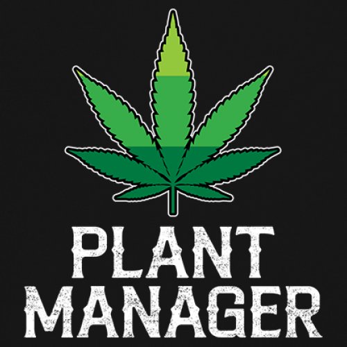 Plant Manager Long Sleeve T-shirt Funny Pot Leaf Smoking 420 Marijuana Cannabis - Picture 4 of 57