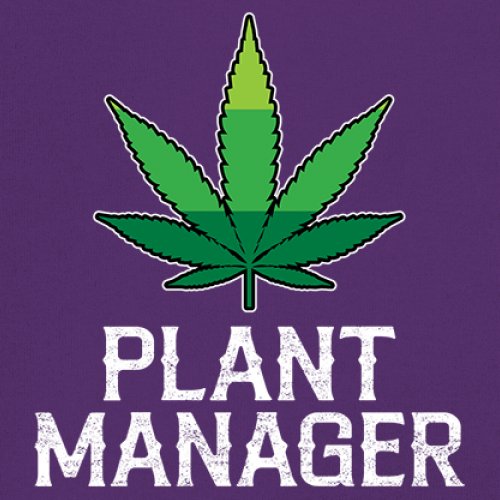 Plant Manager Long Sleeve T-shirt Funny Pot Leaf Smoking 420 Marijuana Cannabis - Picture 11 of 57